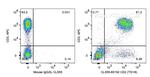 CD2 Antibody in Flow Cytometry (Flow)