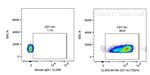 CD11a Antibody in Flow Cytometry (Flow)