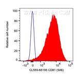 CD81 Antibody in Flow Cytometry (Flow)