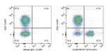 CD19 Antibody in Flow Cytometry (Flow)