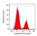 CD19 Antibody in Flow Cytometry (Flow)