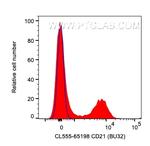 CD21 Antibody in Flow Cytometry (Flow)