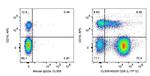 CD5 Antibody in Flow Cytometry (Flow)