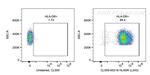 HLA-DR Antibody in Flow Cytometry (Flow)