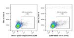 CD11b Antibody in Flow Cytometry (Flow)