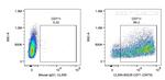 CD71 Antibody in Flow Cytometry (Flow)