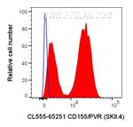 CD155/PVR Antibody in Flow Cytometry (Flow)