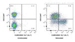 GL7 Antibody in Flow Cytometry (Flow)
