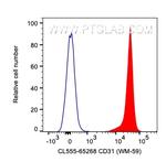 CD31 Antibody in Flow Cytometry (Flow)