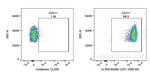CD31 Antibody in Flow Cytometry (Flow)