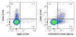 CD244 Antibody in Flow Cytometry (Flow)