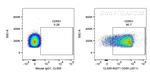 CD55 Antibody in Flow Cytometry (Flow)