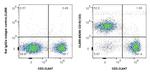 CD19 Antibody in Flow Cytometry (Flow)