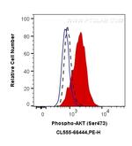 Phospho-AKT (Ser473) Antibody in Flow Cytometry (Flow)