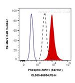 Phospho-RIPK1 (Ser161) Antibody in Flow Cytometry (Flow)