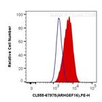 ARHGEF16 Antibody in Flow Cytometry (Flow)