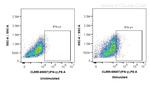 IFN Gamma Antibody in Flow Cytometry (Flow)
