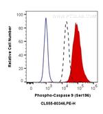 Phospho-Caspase 9 (Ser196) Antibody in Flow Cytometry (Flow)