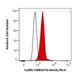 P16-INK4A Antibody in Flow Cytometry (Flow)