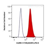 ASGR1 Antibody in Flow Cytometry (Flow)