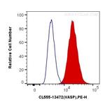 VASP Antibody in Flow Cytometry (Flow)