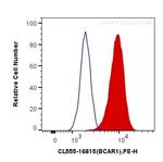 p130Cas Antibody in Flow Cytometry (Flow)