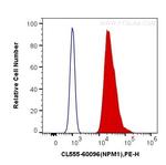 B23/NPM1 Antibody in Flow Cytometry (Flow)