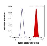 DEK Antibody in Flow Cytometry (Flow)