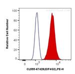 eIF4G2/DAP5 Antibody in Flow Cytometry (Flow)
