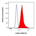 P21 Antibody in Flow Cytometry (Flow)