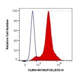 FUS/TLS Antibody in Flow Cytometry (Flow)