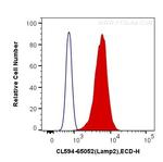 CD107b/LAMP2 Antibody in Flow Cytometry (Flow)
