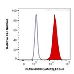 CD107b/LAMP2 Antibody in Flow Cytometry (Flow)