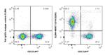 CD16/32 Antibody in Flow Cytometry (Flow)