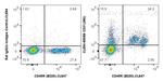 CD31 Antibody in Flow Cytometry (Flow)