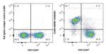 CD38 Antibody in Flow Cytometry (Flow)