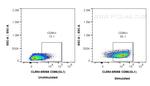 CD86 Antibody in Flow Cytometry (Flow)