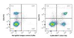 CD3 Antibody in Flow Cytometry (Flow)