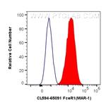 FceR1 Antibody in Flow Cytometry (Flow)
