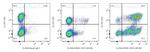 CD25 Antibody in Flow Cytometry (Flow)