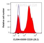 CD28 Antibody in Flow Cytometry (Flow)