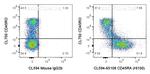 CD45RA Antibody in Flow Cytometry (Flow)
