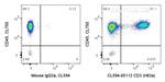 CD3 Antibody in Flow Cytometry (Flow)