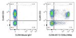 CD8a Antibody in Flow Cytometry (Flow)