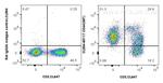 CD44 Antibody in Flow Cytometry (Flow)
