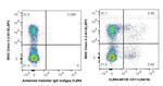 CD11c Antibody in Flow Cytometry (Flow)
