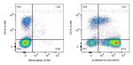 CD3 Antibody in Flow Cytometry (Flow)