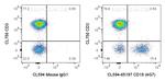 CD19 Antibody in Flow Cytometry (Flow)