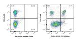 CD4 Antibody in Flow Cytometry (Flow)