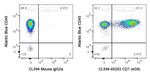 CD7 Antibody in Flow Cytometry (Flow)